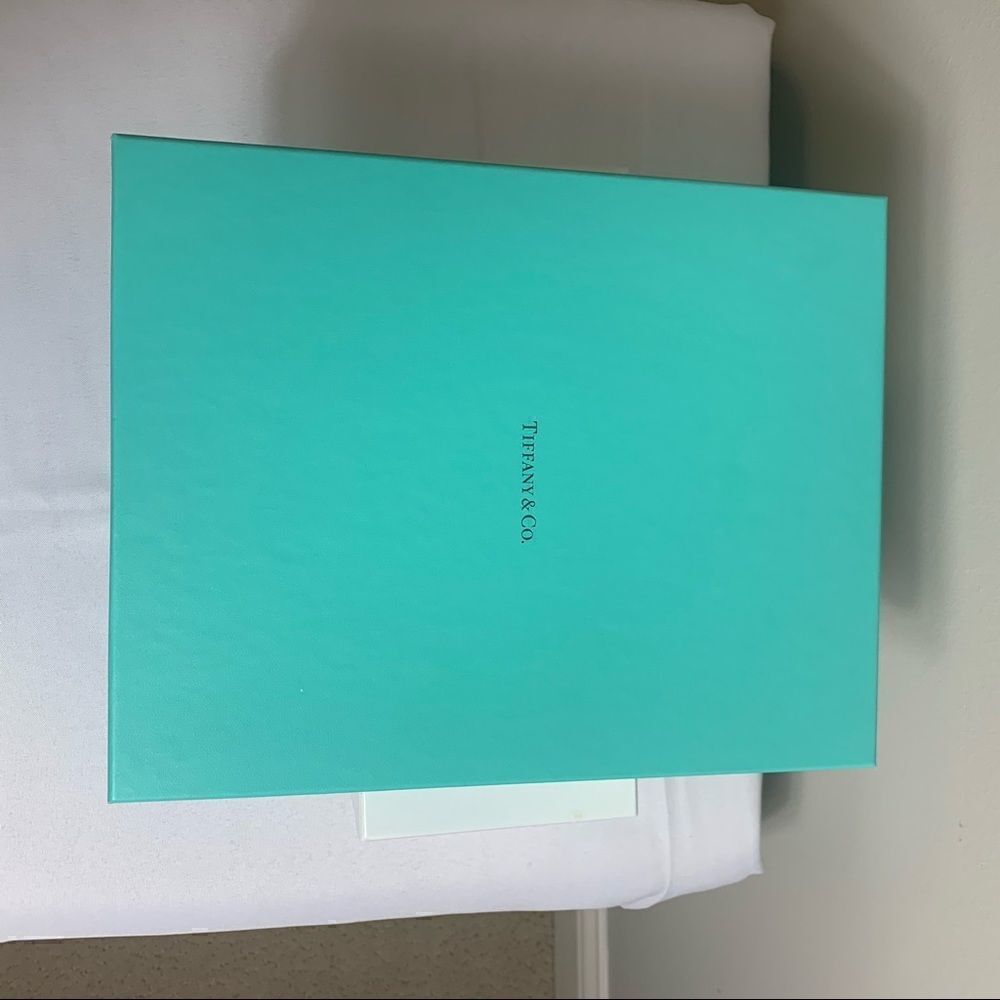 Tiffany & Co. Leather Tablet Case/Clutch - New - Picture 12 of 12